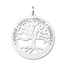 ZFH03 zilveren naamhanger stamboom